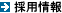 �̗p���